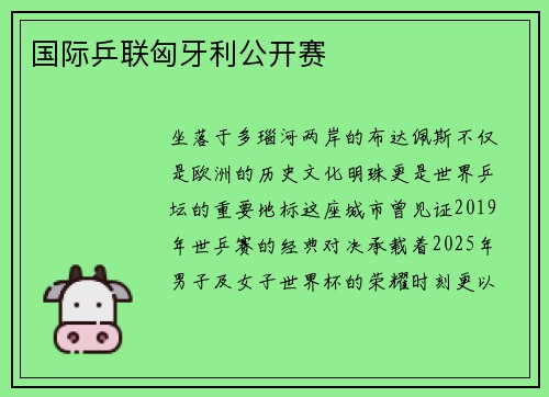 国际乒联匈牙利公开赛